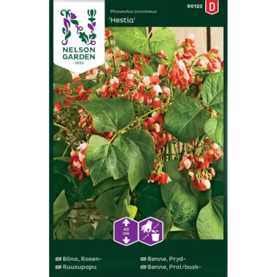 Frø prydbønne Hestia