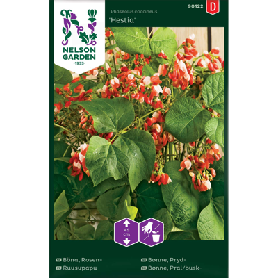 Frø prydbønne Hestia