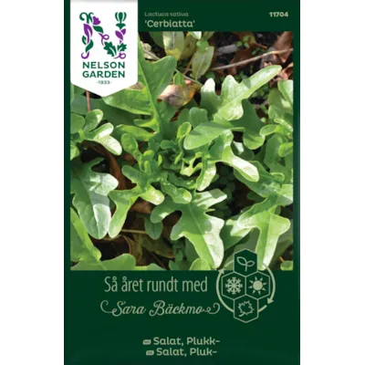 Frø plukksalat Cerbiatta