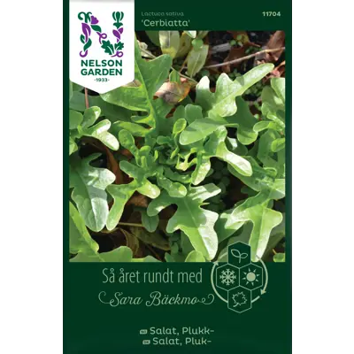 Frø plukksalat Cerbiatta