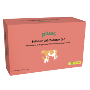 Saltstein grå 6 x 2 kg