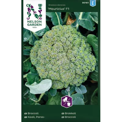 Frø brokkoli Mauricius