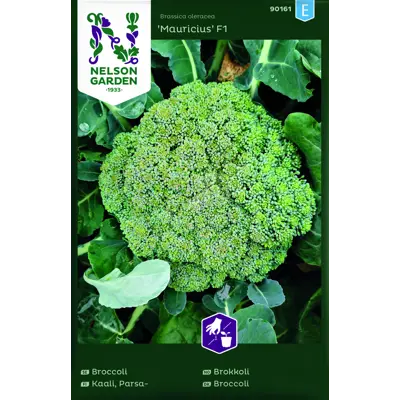 Frø brokkoli Mauricius