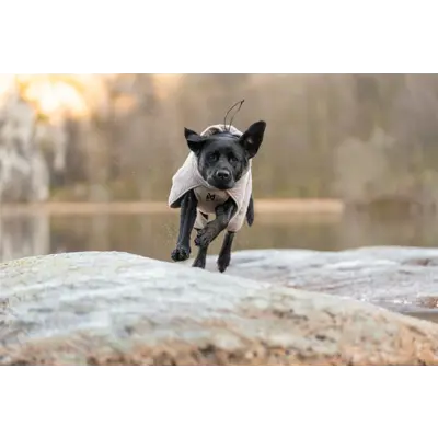 Hundedekken Drying Coat sand, bilde 5