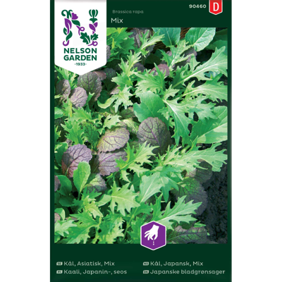 Frø japansk bladgrønnsak Mix