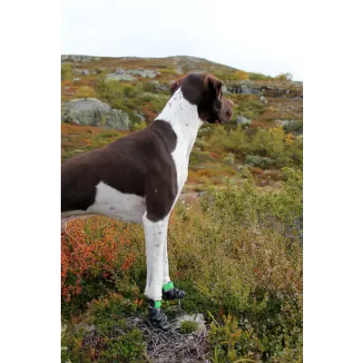 Potesokker Slite grå 4 pk, bilde 6
