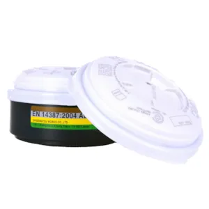 Støvfilter/gassfilter P3RC