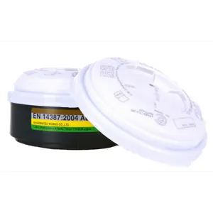 Støvfilter/gassfilter P3RC