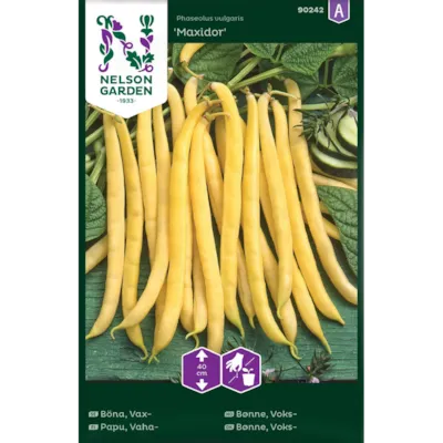 Frø voksbønne Maxidor