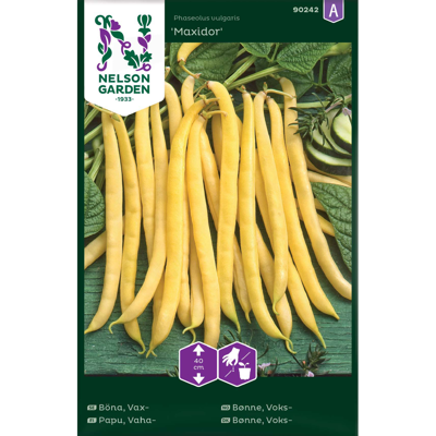 Frø voksbønne Maxidor