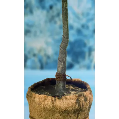 Jutefleece natur 50x150 cm, bilde 2