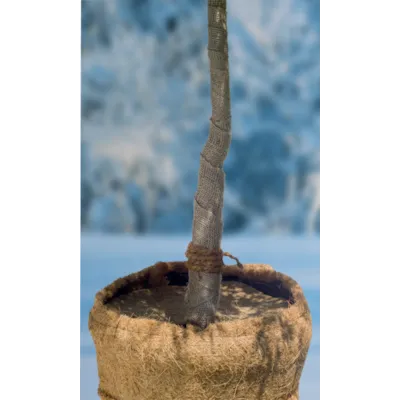 Jutefleece natur 50x150 cm, bilde 2