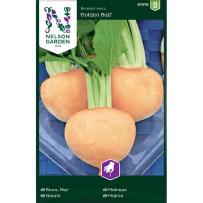 Frø mainepe Golden Ball