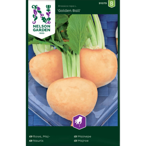 Frø mainepe Golden Ball