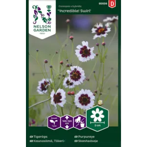 Frø purpurøye Incredible! Swirl