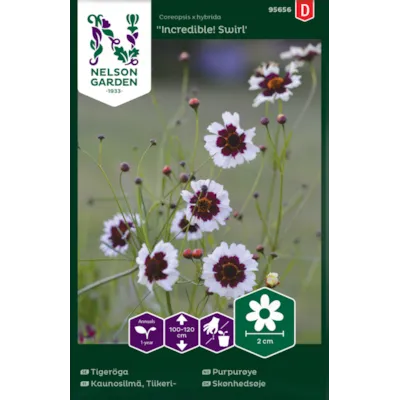 Frø purpurøye Incredible! Swirl