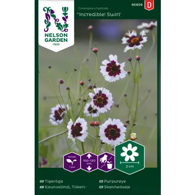 Frø purpurøye Incredible! Swirl