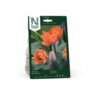 Høstløk tulipan Orange Princess