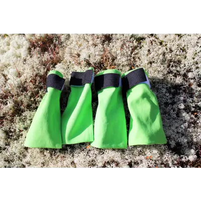 Potesokker Snø grønn 4 pk, bilde 4