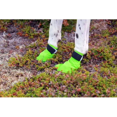 Potesokker Snø grønn 4 pk, bilde 6