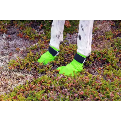 Potesokker Snø grønn 4 pk, bilde 6