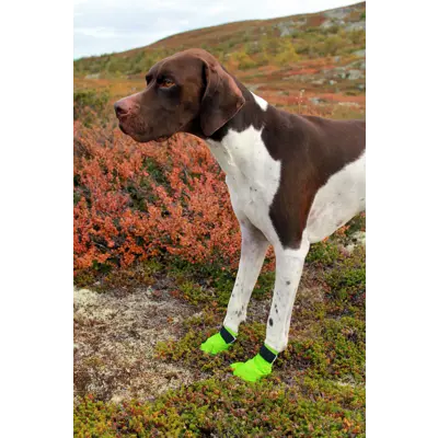 Potesokker Snø grønn 4 pk, bilde 7