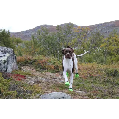 Potesokker Snø grønn 4 pk, bilde 8