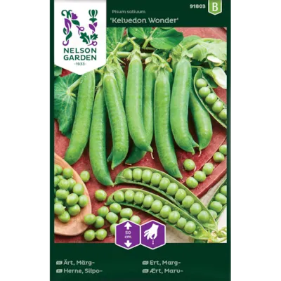 Frø margert Kelvedon Wonder