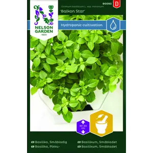 Frø basilikum småbladet Balkon Star Harvy
