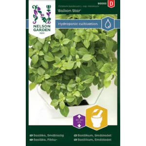 Frø basilikum småbladet Balkon Star Harvy