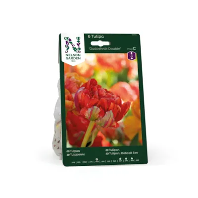 Høstløk tulipan Gudoshnik Double