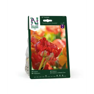 Høstløk tulipan Gudoshnik Double