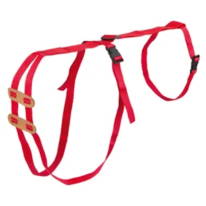 Fremfallsele for sau