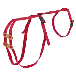 Fremfallsele for sau