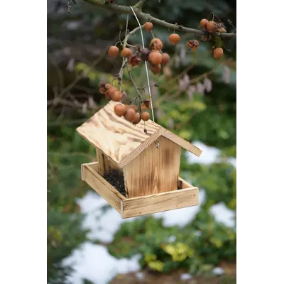 Fuglemater i brent furu, bilde 3