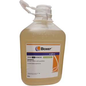 Boxer 5 L