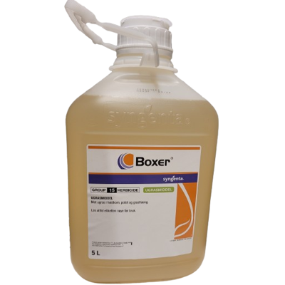 Boxer 5 L