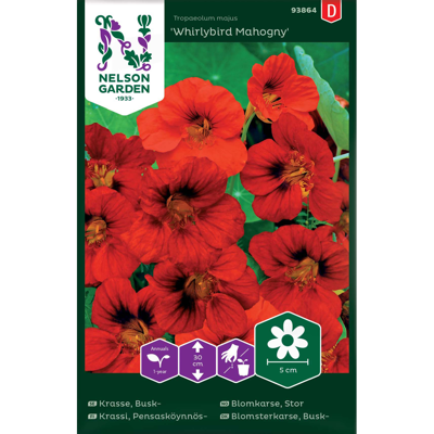 Frø blomkarse Whirlybird Mahogny