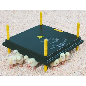 Kyllingmor Olba 40x40 cm