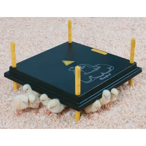 Kyllingmor Olba 40x40 cm