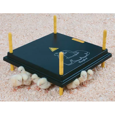 Kyllingmor Olba 40x40 cm