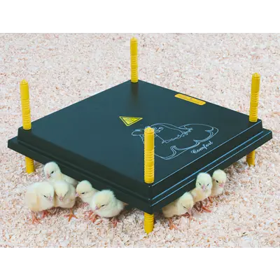 Kyllingmor Olba 40x40 cm