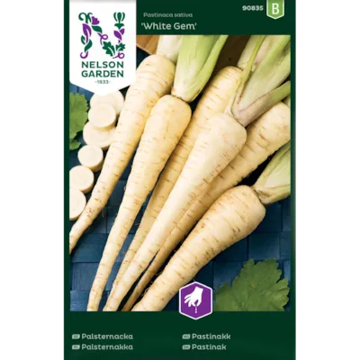 Frø pastinakk White Gem