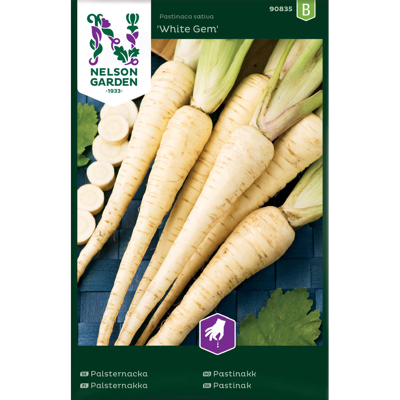Frø pastinakk White Gem