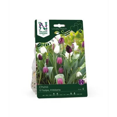 Høstløk tulipan, fritillaria Chess