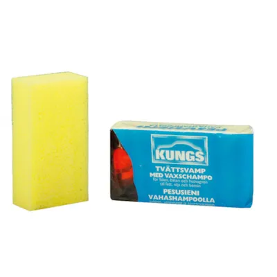 Vaskesvamp med shampoo