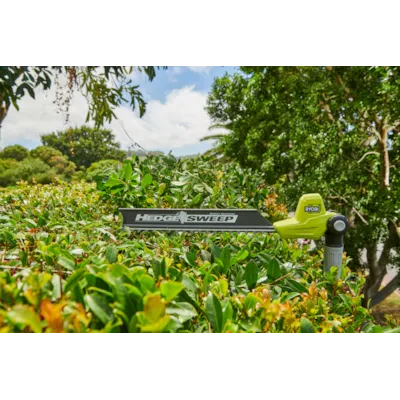 Batteridrevet hekksaks teleskopisk RY18PHT40A-0, bilde 7