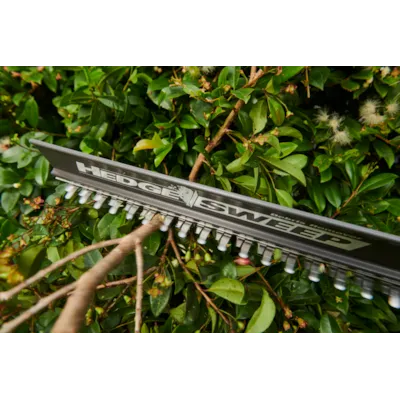 Batteridrevet hekksaks teleskopisk RY18PHT40A-0, bilde 5