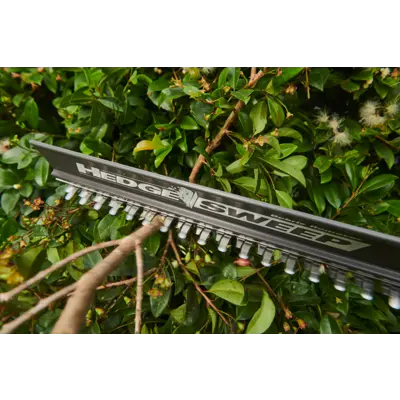 Batteridrevet hekksaks 18V RY18PHT40A-0, bilde 5