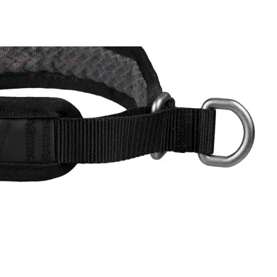 Halsbånd Rock 3 svart, bilde 3